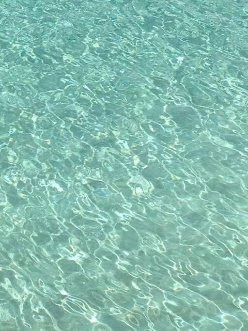 Villa Ker Iguane Terre De Haut Les Saintes Zewnętrze zdjęcie