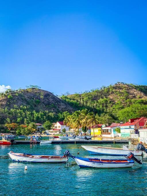 Villa Ker Iguane Terre De Haut Les Saintes Zewnętrze zdjęcie